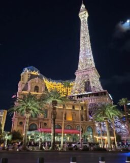 2024 Photo Dump • Part 4 of 8 (Las Vegas, February)
Even though February 2024 was my 20th trip to Las Vegas, it had been 9 years since my 19th trip, so naturally in a place like Vegas, a lot of new stuff had popped up.
One new thing is my cousin @bcslots, who's built a huge empire as a slots influencer, has his own branded non-smoking slot room at the Plaza in Old Vegas (complete with his own machines)! It worked out that when I was there, Brian was in town holding a huge birthday event, so afterwards I got to catch up with him and @marcoluckisreal, and meet his best friend visiting from Ontario and some of his team. (He also treated us – on his own birthday no less – to a meal at @oscarssteakhouselv, where I had a ridiculously delicious pork chop and mashed potatoes.)
The next day was maybe my most full (and favourite) day in all my 20 times Vegas! A visit to the @sharkreefaq, a dip in the Mandalay Bay pool, the wow-inducing @spherevegas, the best pizza I've ever had at @moneylinepizza, and then ending things off with the most fun humanly possible at @omegamartusa.
Between the Grand Canyon and all this, it was an unbelievable time, and all the new stuff still didn't take away how comfortable and familiar the city is to me. (Of course it would've been even better if Danae was there – maybe someday I'll convince her to give Vegas a try. Haha.)